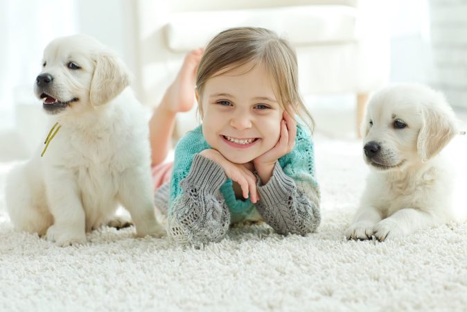 Portrait,Of,Happy,Little,Girl,At,Home,With,Labrador,Puppy